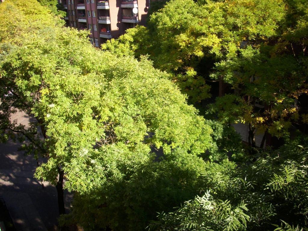 Palacina - Serviced Berlino